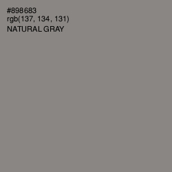 #898683 - Natural Gray Color Image