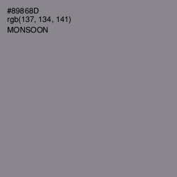 #89868D - Monsoon Color Image