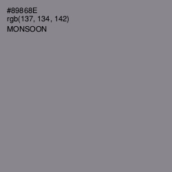 #89868E - Monsoon Color Image