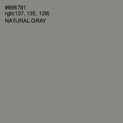 #898781 - Natural Gray Color Image