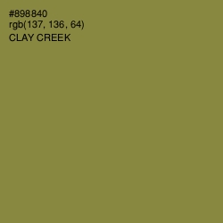 #898840 - Clay Creek Color Image