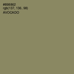 #898862 - Avocado Color Image