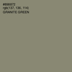 #898872 - Granite Green Color Image