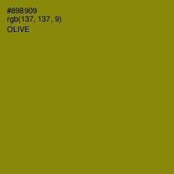 #898909 - Olive Color Image