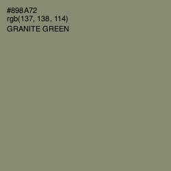 #898A72 - Granite Green Color Image