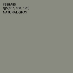 #898A80 - Natural Gray Color Image