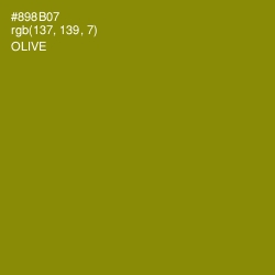 #898B07 - Olive Color Image