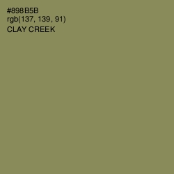 #898B5B - Clay Creek Color Image