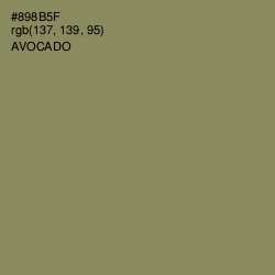 #898B5F - Avocado Color Image