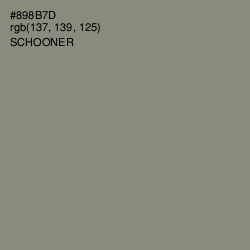 #898B7D - Schooner Color Image
