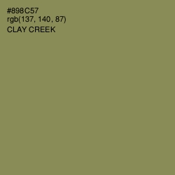 #898C57 - Clay Creek Color Image
