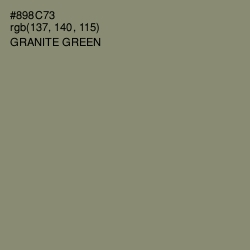 #898C73 - Granite Green Color Image