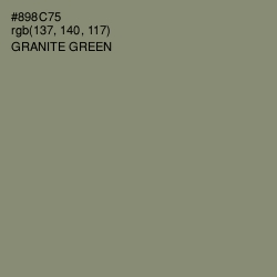 #898C75 - Granite Green Color Image