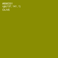 #898D01 - Olive Color Image