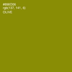 #898D06 - Olive Color Image