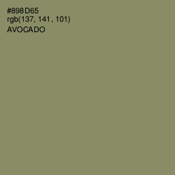 #898D65 - Avocado Color Image