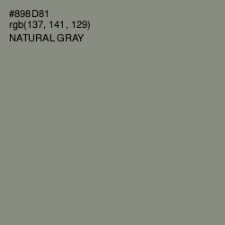 #898D81 - Natural Gray Color Image