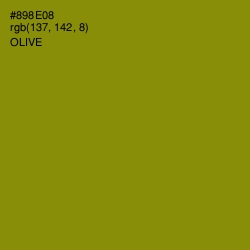 #898E08 - Olive Color Image