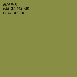 #898E45 - Clay Creek Color Image