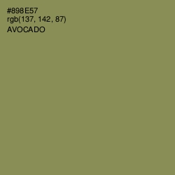 #898E57 - Avocado Color Image