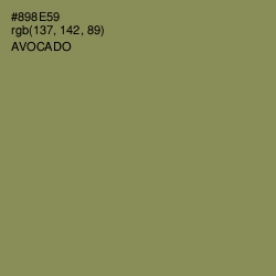 #898E59 - Avocado Color Image