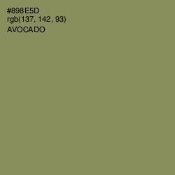 #898E5D - Avocado Color Image
