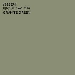 #898E74 - Granite Green Color Image