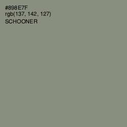 #898E7F - Schooner Color Image