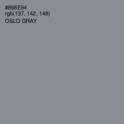 #898E94 - Oslo Gray Color Image