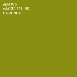 #898F10 - Hacienda Color Image