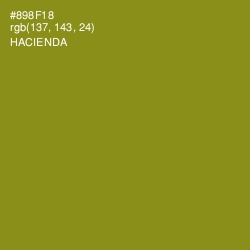 #898F18 - Hacienda Color Image