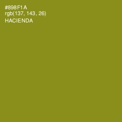 #898F1A - Hacienda Color Image