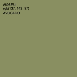 #898F61 - Avocado Color Image