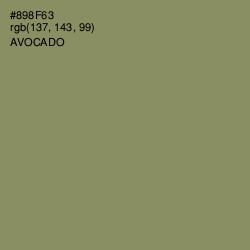 #898F63 - Avocado Color Image