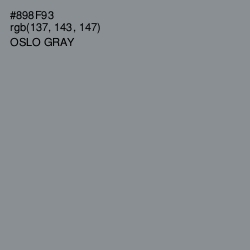 #898F93 - Oslo Gray Color Image