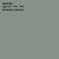 #89908C - Spanish Green Color Image