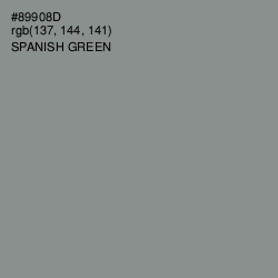 #89908D - Spanish Green Color Image