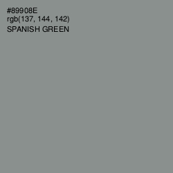 #89908E - Spanish Green Color Image