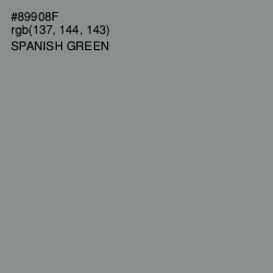 #89908F - Spanish Green Color Image