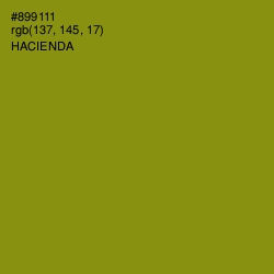 #899111 - Hacienda Color Image