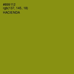 #899112 - Hacienda Color Image