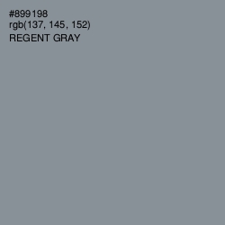 #899198 - Regent Gray Color Image