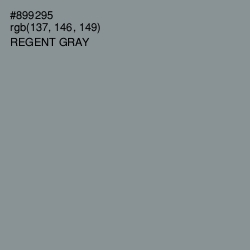 #899295 - Regent Gray Color Image