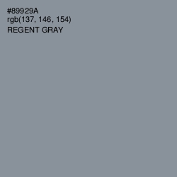 #89929A - Regent Gray Color Image