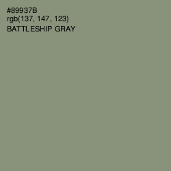 #89937B - Battleship Gray Color Image