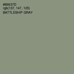 #89937D - Battleship Gray Color Image