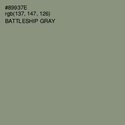 #89937E - Battleship Gray Color Image