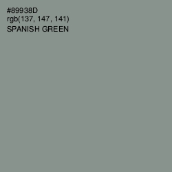 #89938D - Spanish Green Color Image