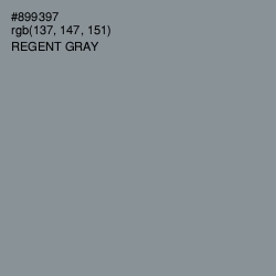 #899397 - Regent Gray Color Image