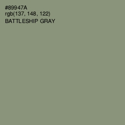 #89947A - Battleship Gray Color Image